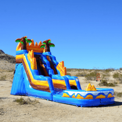 15 ft Oasis waterslide